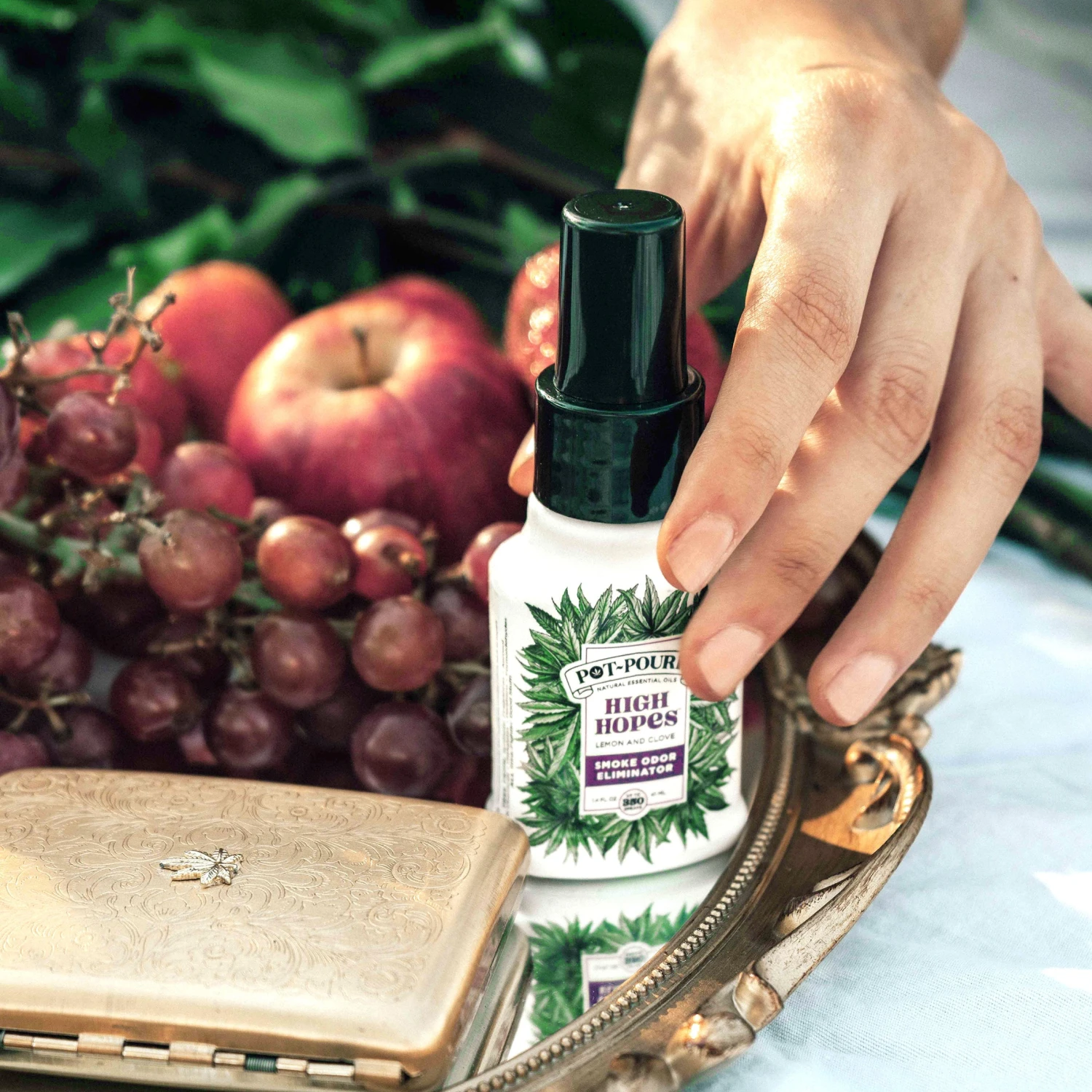 Pot-Pourri High Hopes Lemon & Clove Spray - Image 6